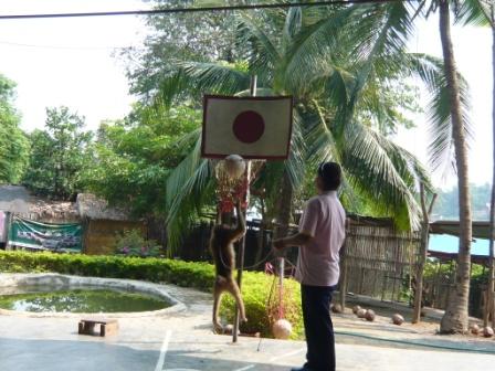 Mr. Pong, der Basketball Profi von Thailand