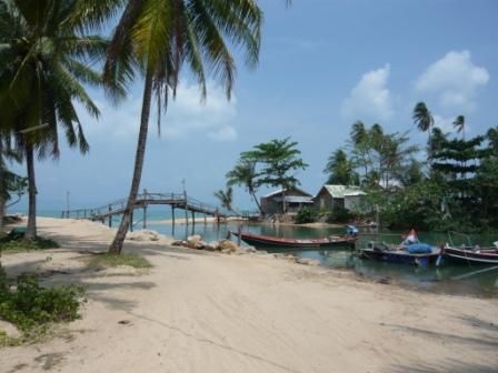 endlich strand und Palmen