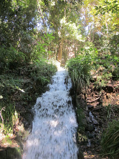 endlich bissle Grün und auchnoch in Verbindung mit Wasser, ich bin begeistert!