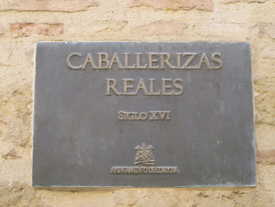 Das wunderschöne Gestüt mitten in der Altstadt