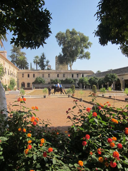 Mittags Training auf dem wohl schönsten Reitplatz der Welt..