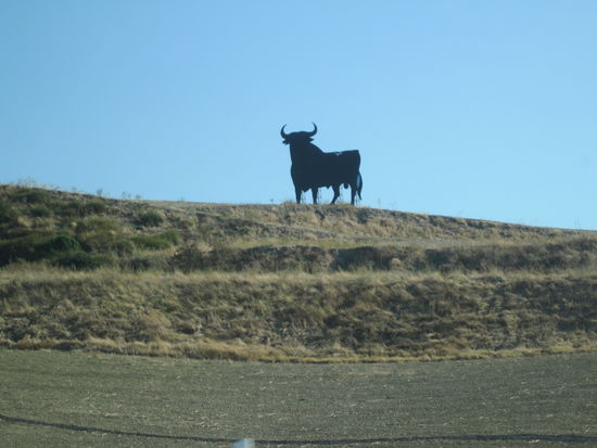 ...und dann gings auch schon wieder Richtung Sevilla