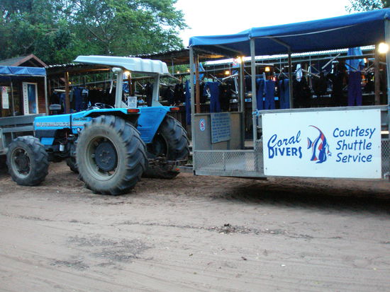 Shuttelbus zum Meer via Tracktor
