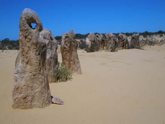 Pinnacels im Namburg National Park