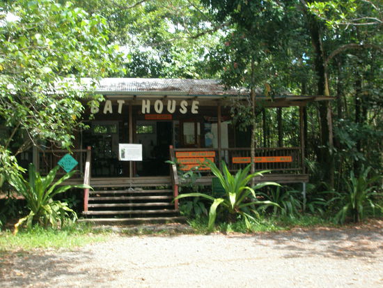 Das Bat-House in Cape Tribulation