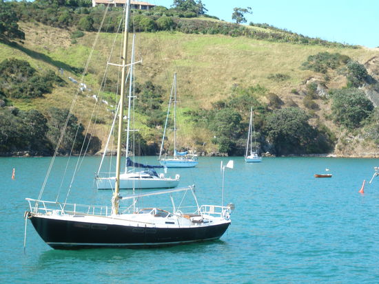 Der Hafen von der Waiheke Insel