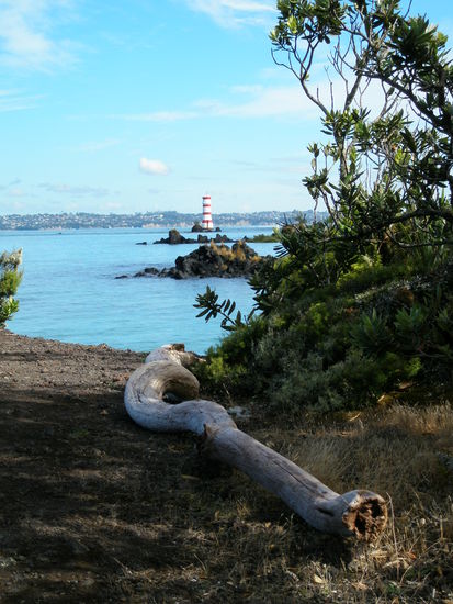 Auf der Vulkaninsel Rangitoto...mit Blick auf dem Leuchtturm!