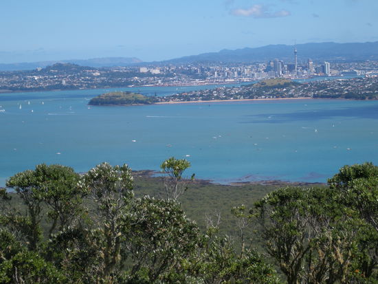Der wirklich herrliche Ausblick auf Auckland von der Vulkanspitze lohnt sich!
