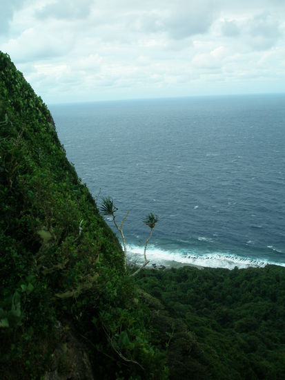 Eine herrliche Aussicht von einem der Lookouts in Eua