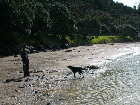 und da mein Auto ja sehr gross ist, passt sogar ein Hund hinein....Mac....der geduldig darauf wartet bis sein Ball ins Meer geworfen wird