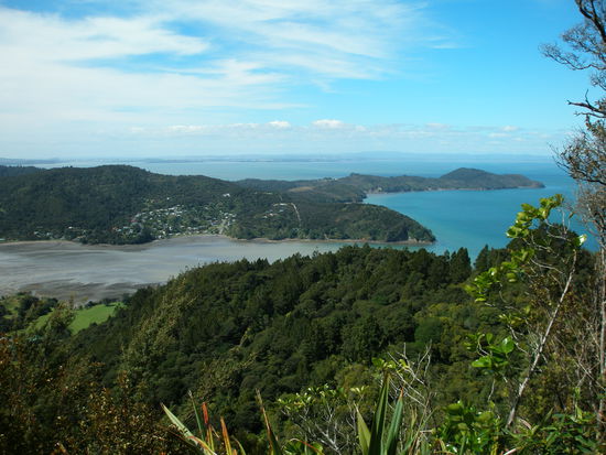 Ausblick von einem Berg in Huia