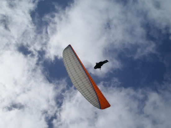eine Person beim Paragliding am Muriwai Beach