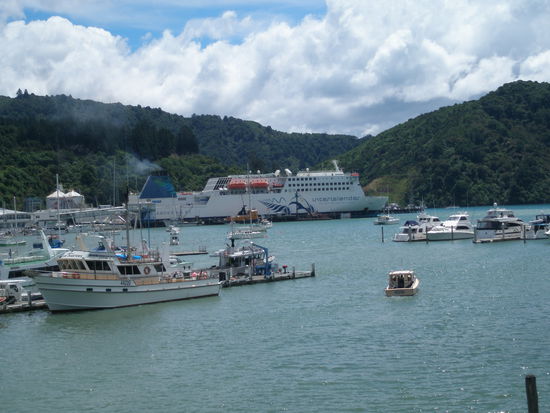 Ankunft auf der Suedinsel (Picton)
