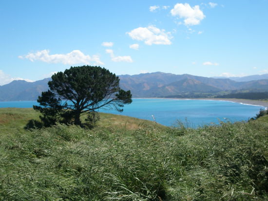 die andere Seite der Halbinsel in Kaikoura, vom Peninsula Walk aus fotografiert