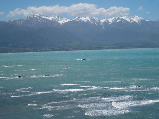 Kaikoura bei schoenem Wetter