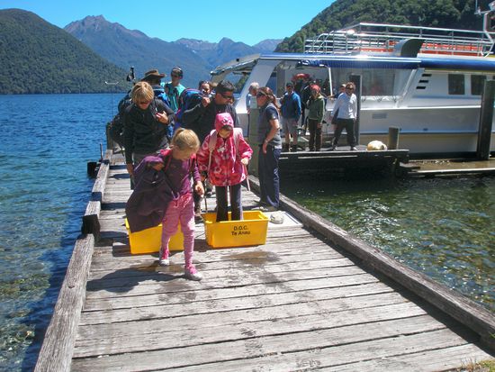 Desinfektion unserer Schuhe