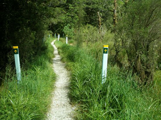 die Pfeiler waren dafuer aufgebaut, das wenn es zu Ueberschwemmungen kommt, man trotzdem noch weis wo man entlang zu gehen hat