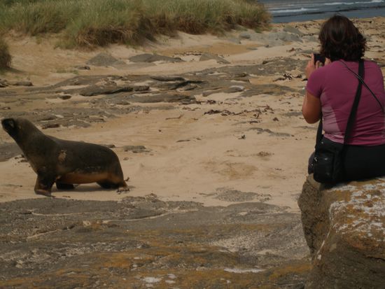 Sandra beim Fotografieren eines Seeloewen