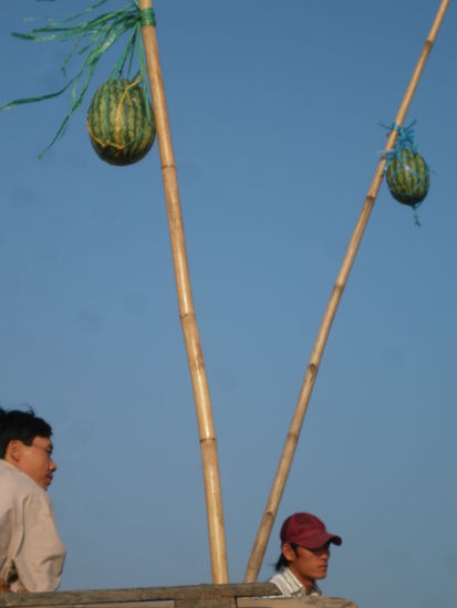 Aeste an denen die Ware auf dem jeweiligem Boot markiert sind