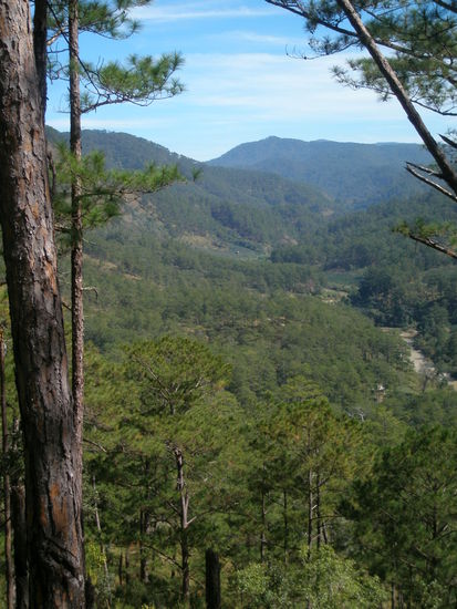 Ausblick auf das Tal mit den vielen Kaffeplantagen