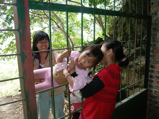 die kleinsten Kinder wurden einfach durch das Tor gepackt
