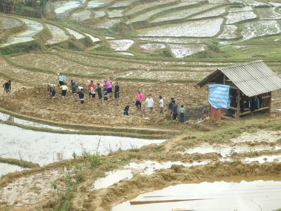 das nennt man tuechtige Feldarbeit - alles wird bei Hand gemacht
