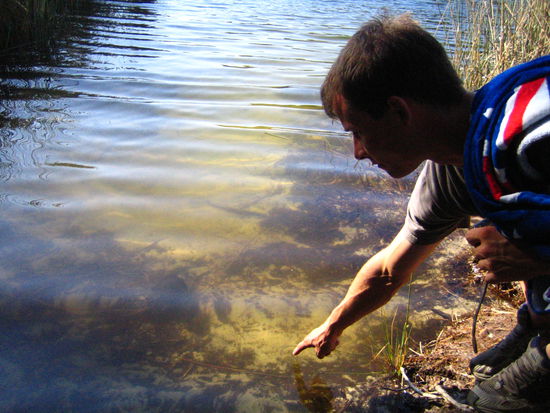 der Schildkroetenfluesterer