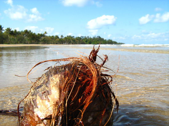 wir waren auch im lauwarmen Ozean schwimmen, wenngleich auch eher unsicher...aus Angst vor moeglichen Quallen