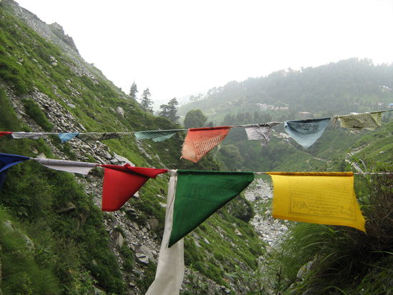nahe dem Wasserfall in MCLeod Ganj (Bhagsu)