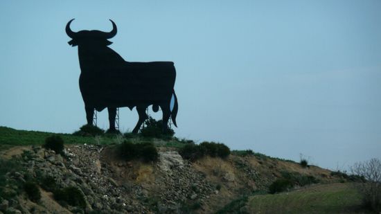 Ständiger Begleiter in Spanien ...