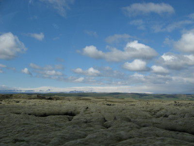 moosüberwachsene Lava im Eldhraun
