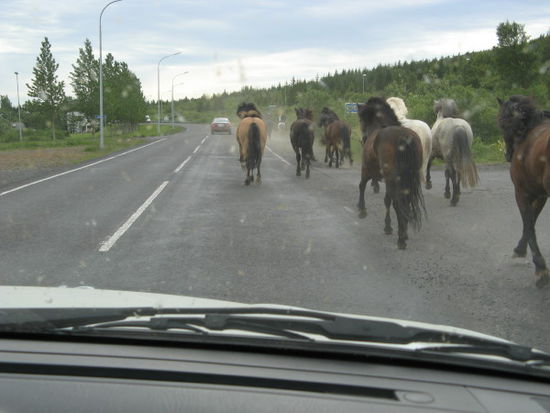 auch auf der Straße