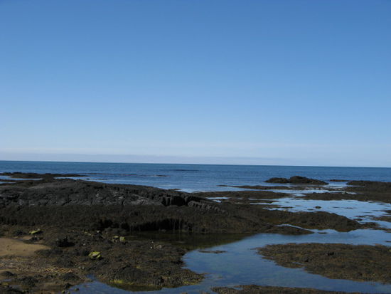 Reykjanes-Küste