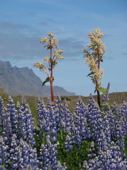 eins meiner Lieblingsfotos