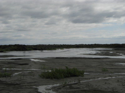 Sanderlandschaft