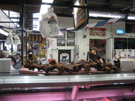 Hm, sieht aus, wie die Dinosaurier-Ausstellung des ROM