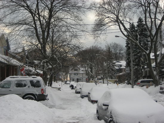 Heute morgen gegen 11 Uhr - einige early birds haben schon den Gehweg freigeschaufelt. Der gemeine Kanadier setzt bei so einem Wetter keinen Fuß vor die Tür....wenn er nicht muss. Kanadische Hauskatzen übrigens auch nicht.