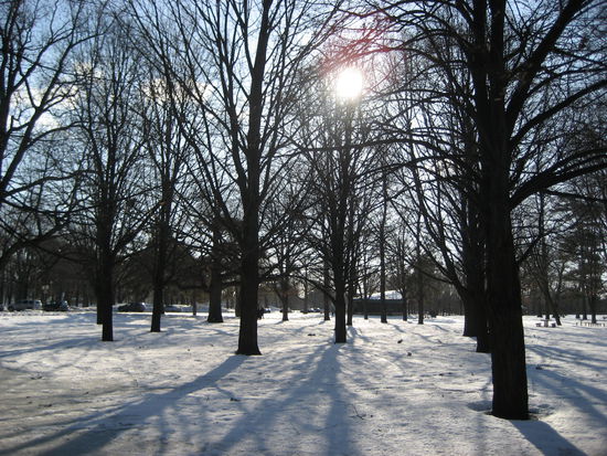 Und es ist doch noch etwas Schnee übrig