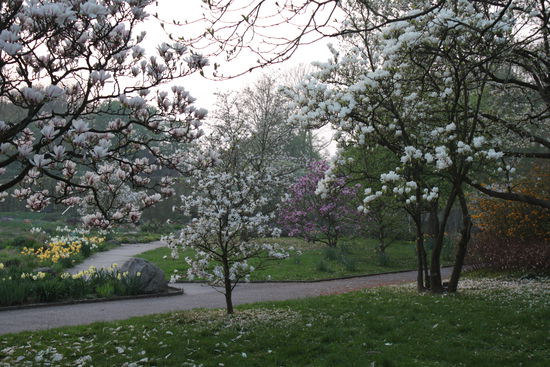 Gruga, Frühlingswunder