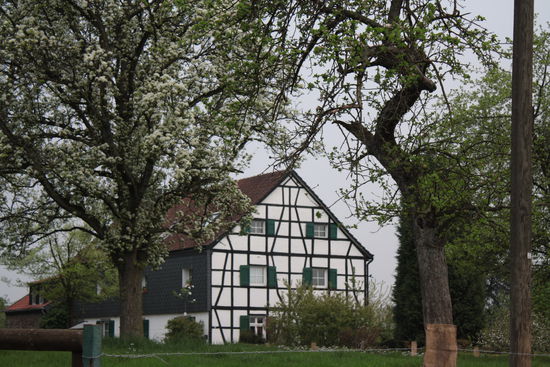 Fischlaken, Baldeneysee, Essen