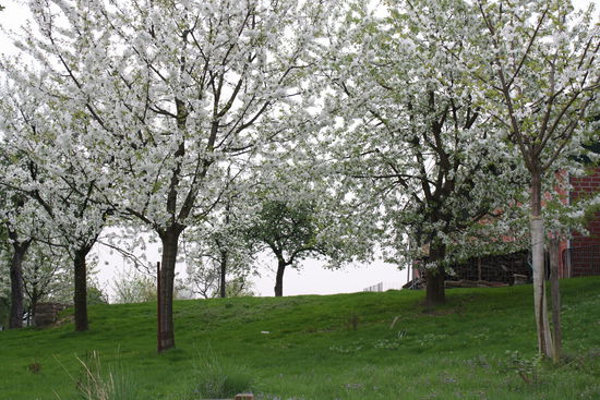 Die schönste Jahreszeit!