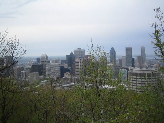 Down Town Montreal