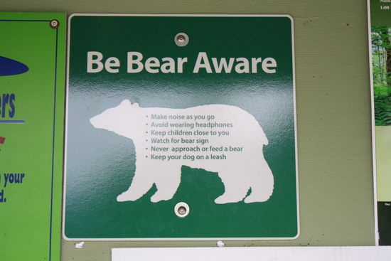 Auch hier gibt es schon Bären....