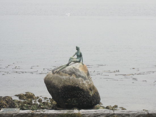 "Girl in the Wetsuit"