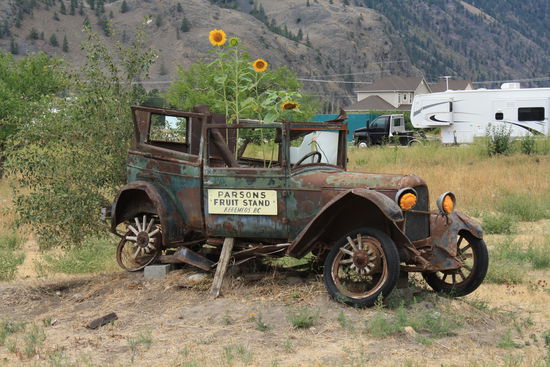 Im Okanagan Valley gibt es eine Fülle an Obst und Gemüse - super lecker! Und local!