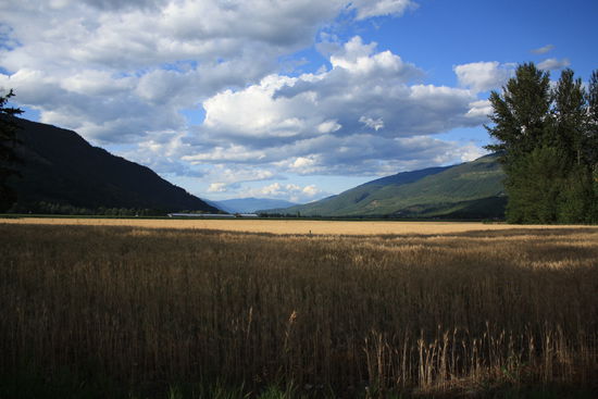 Das Okanagan Valley liegt nun auch schon wieder hinter uns..