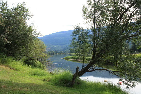 Im Nachbargarten wurde sogar an diesem Abend ein Bär gesehen