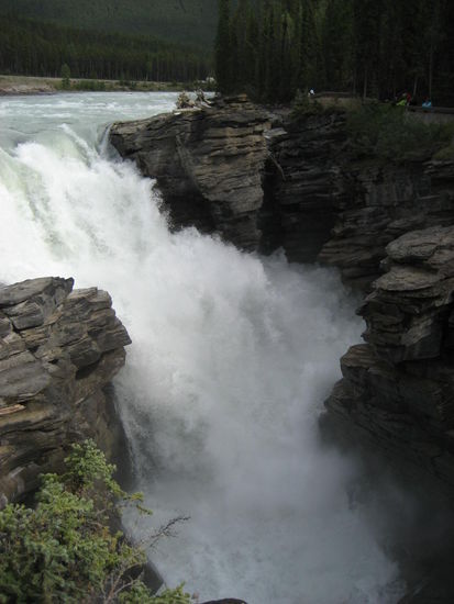 .... und die Athabasca Falls