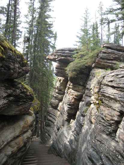 Hier geht es zum passenden Canyon...