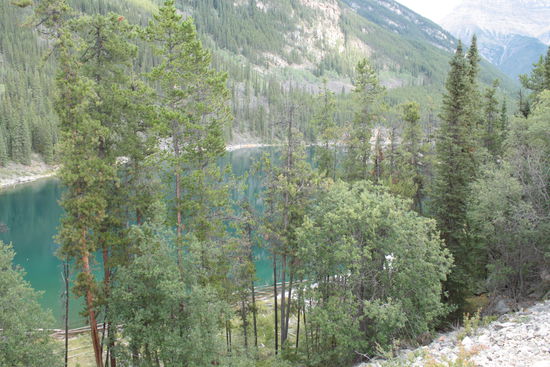 Horseshoe Lake
Ein kurzer Stop, Bild gemacht und dann ging es auch schon weiter nach Japser